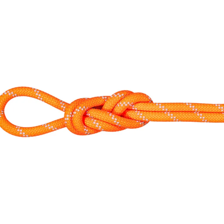 9.5 Alpine Dry Kletterseil