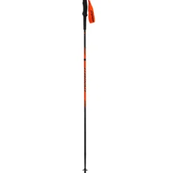 Alpine Pole Wanderstöcke