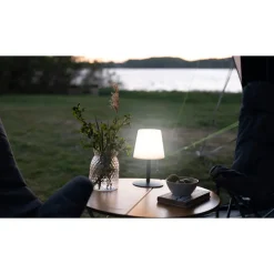 Ara Lampe