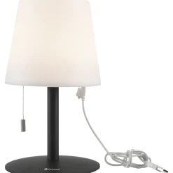 Ara Lampe