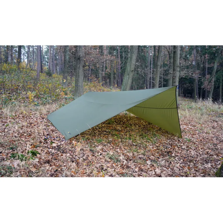 Chapito Tarp