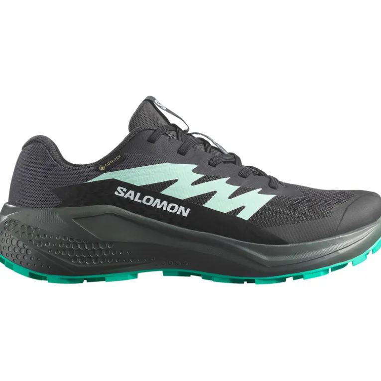 Damen Alphaglide GTX Schuhe