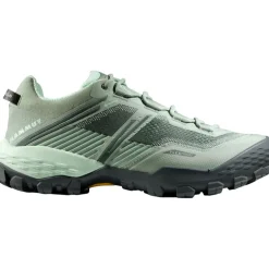 Damen Ducan II Low GTX Schuhe