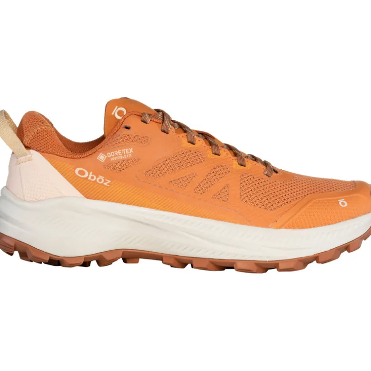 Damen Katabatic LT Low GTX Schuhe
