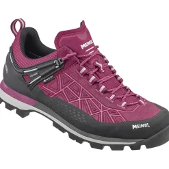 Damen Literock Free GTX Schuhe