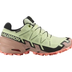 Damen Speedcross 6 GTX Schuhe