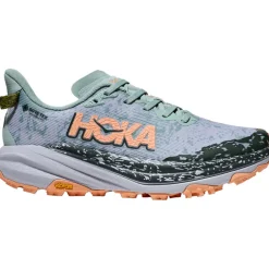 Damen Speedgoat 6 GTX Schuhe