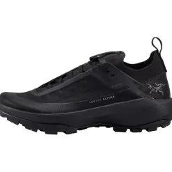 Damen Vertex Alpine GTX Schuhe