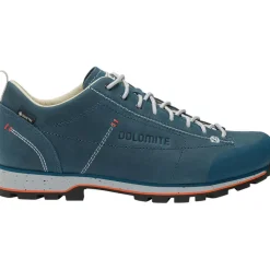 Herren 54 Low FG Evo GTX Schuhe