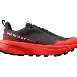 Herren Aenergy Mtn Low GTX Schuhe