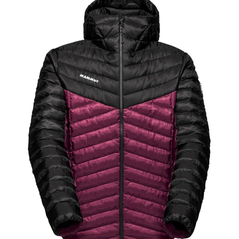 Herren Albula In Hoodie Jacke