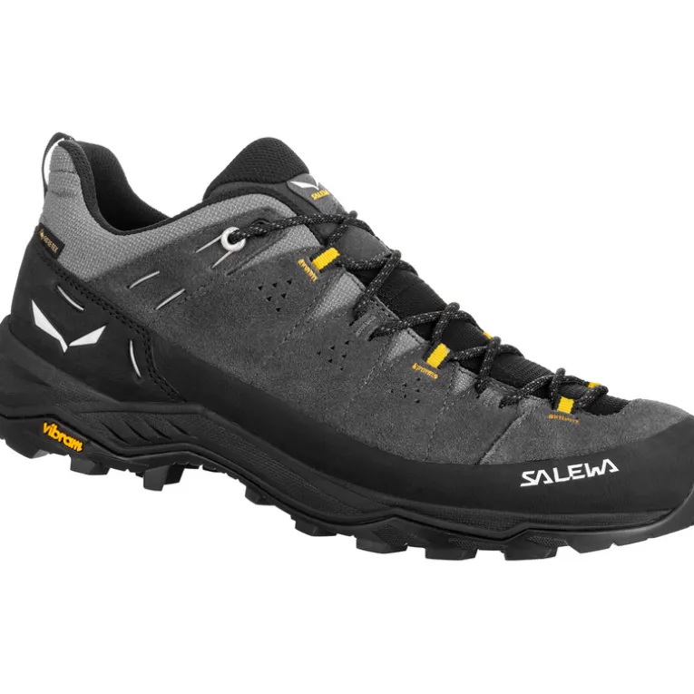 Herren Alp Trainer 2 GTX Schuhe