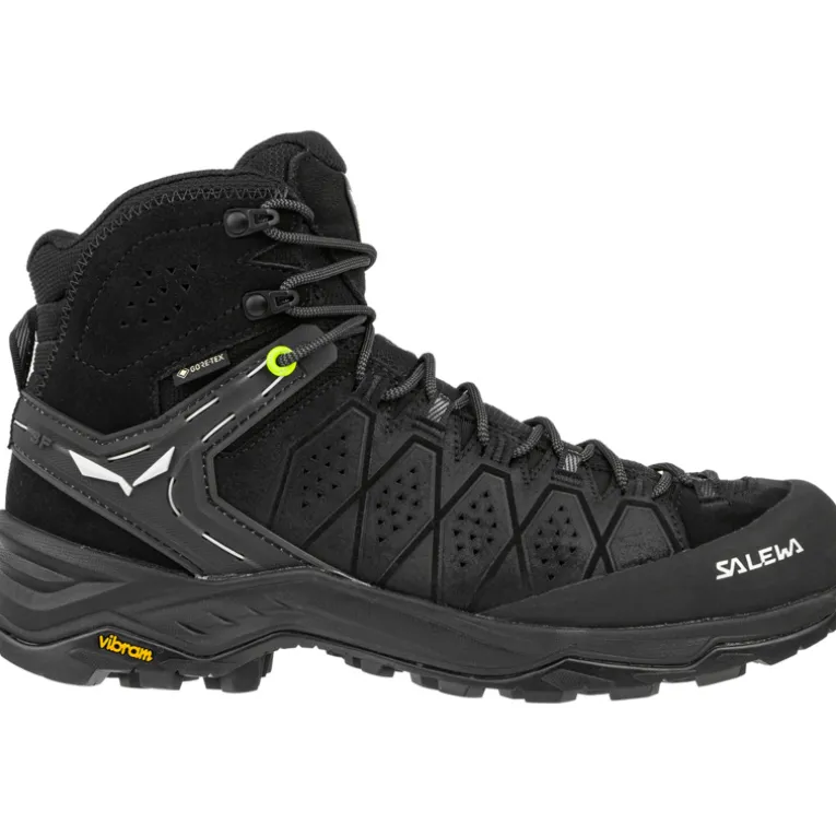 Herren Alp Trainer 2 Mid GTX Schuhe