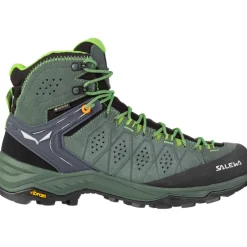 Herren Alp Trainer 2 Mid GTX Schuhe