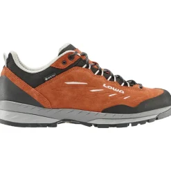 Herren Delago GTX Lo Schuhe