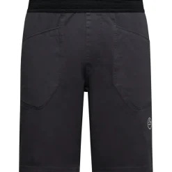 Herren Flatanger Shorts