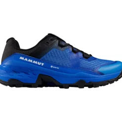 Herren Girun II Low GTX Schuhe