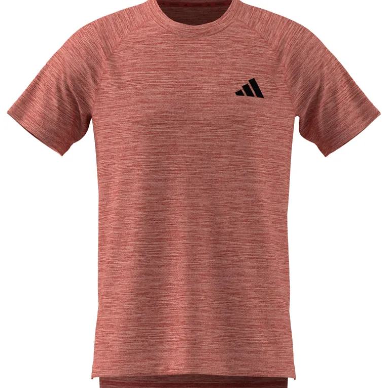Herren Gym+ T-Shirt