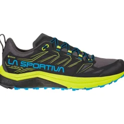 Herren Jackal GTX Schuhe