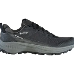 Herren Katabatic LT Low Wide GTX Schuhe
