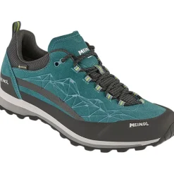 Herren Literock 3.0 GTX Schuhe