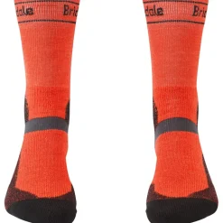 Herren MTB Winter Weight T2 Merino Socken
