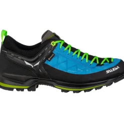 Herren MTN Trainer 2 GTX Schuhe