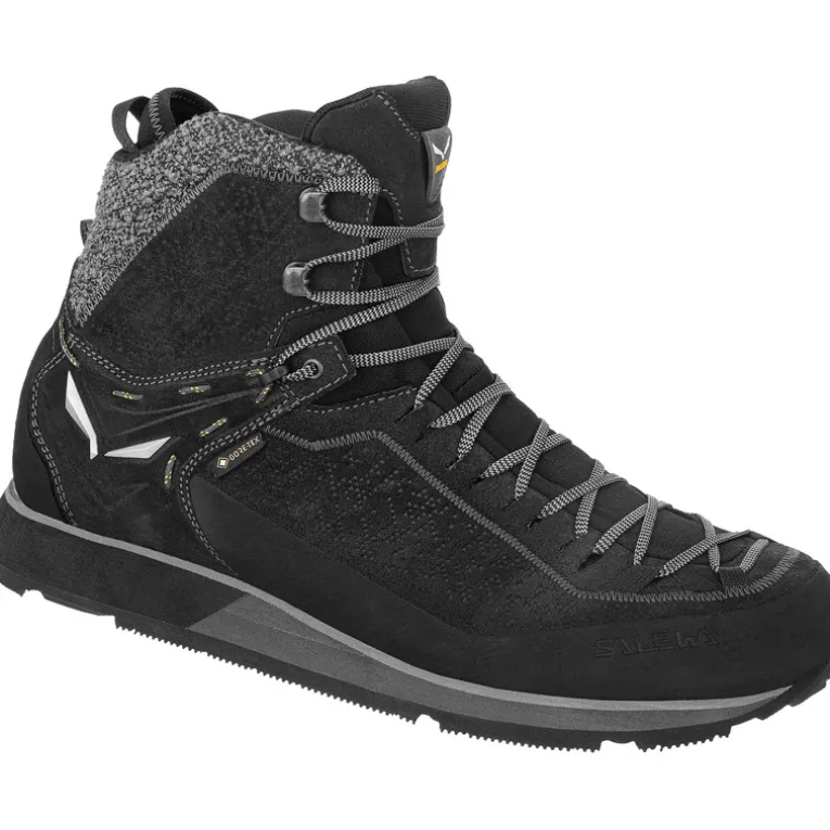 Herren MTN Trainer 2 Winter GTX Schuhe