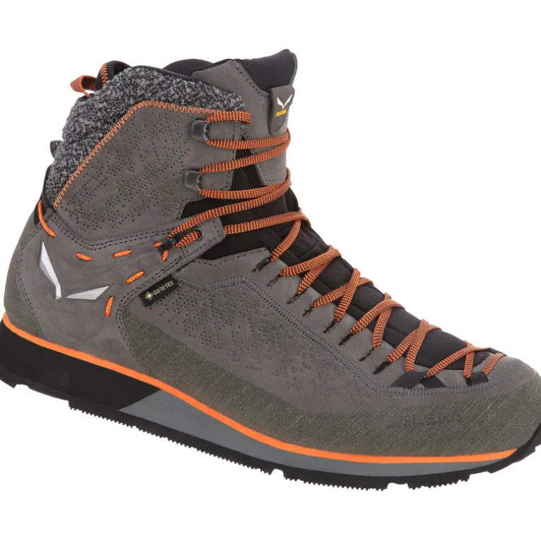 Herren MTN Trainer 2 Winter GTX Schuhe
