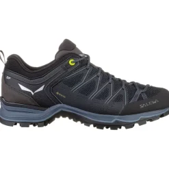 Herren MTN Trainer Lite GTX Schuhe