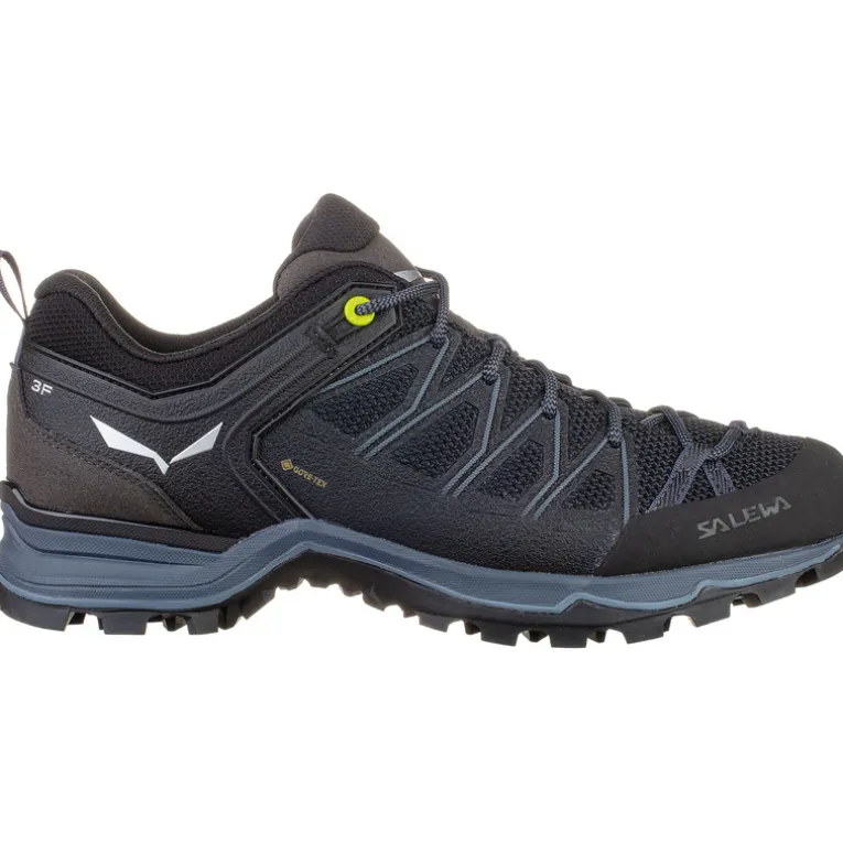 Herren MTN Trainer Lite GTX Schuhe