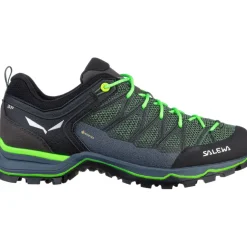 Herren MTN Trainer Lite GTX Schuhe