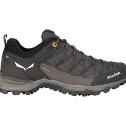 Herren MTN Trainer Lite GTX Schuhe