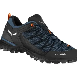 Herren MTN Trainer Lite Schuhe