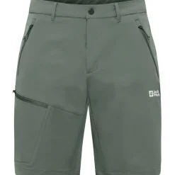 Herren Pico Trail Shorts