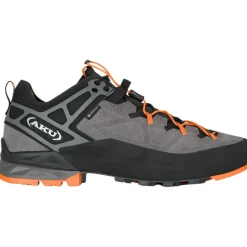 Herren Rock DFS II GTX Schuhe