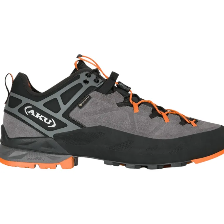 Herren Rock DFS II GTX Schuhe