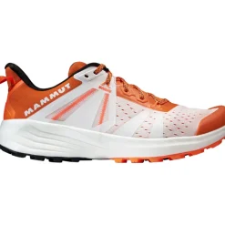 Herren Saentis TR Low Schuhe