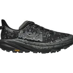 Herren Speedgoat 6 GTX Schuhe