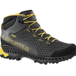 Herren Stream GTX Surround Schuhe