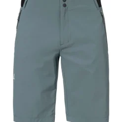 Herren Style Blaustein Shorts