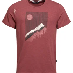 Herren Sunny Mountains T-Shirt