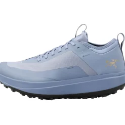 Herren Sylan GTX Schuhe