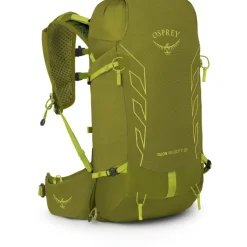Herren Talon Velocity 20 Rucksack