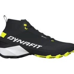 Herren Transalper 2 Mid GTX Schuhe