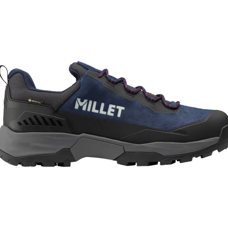 Herren Ubic Low GTX Schuhe