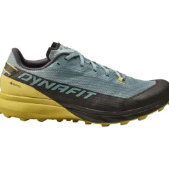 Herren Ultra GTX Schuhe