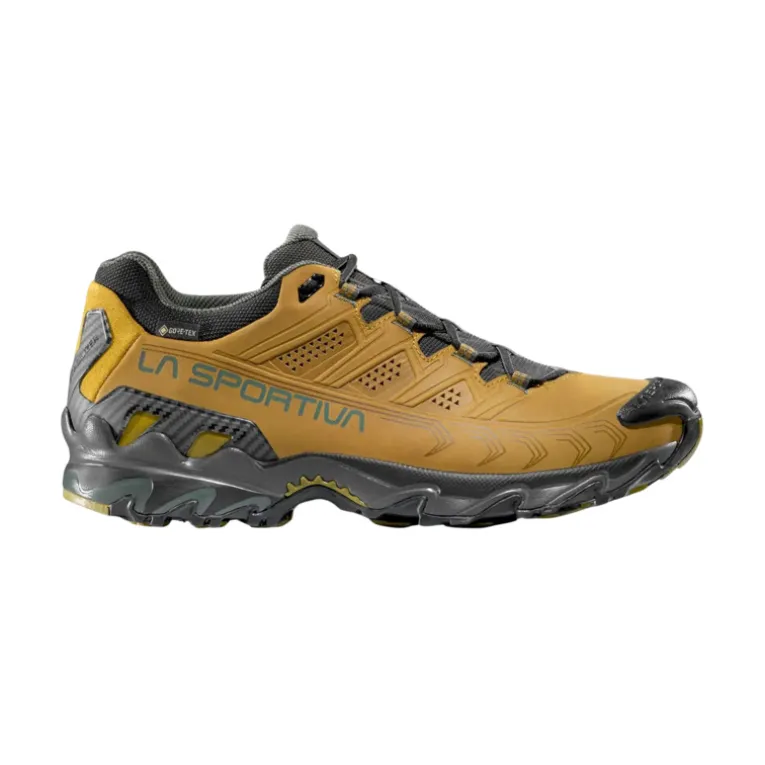 Herren Ultra Raptor II Leather GTX Schuhe