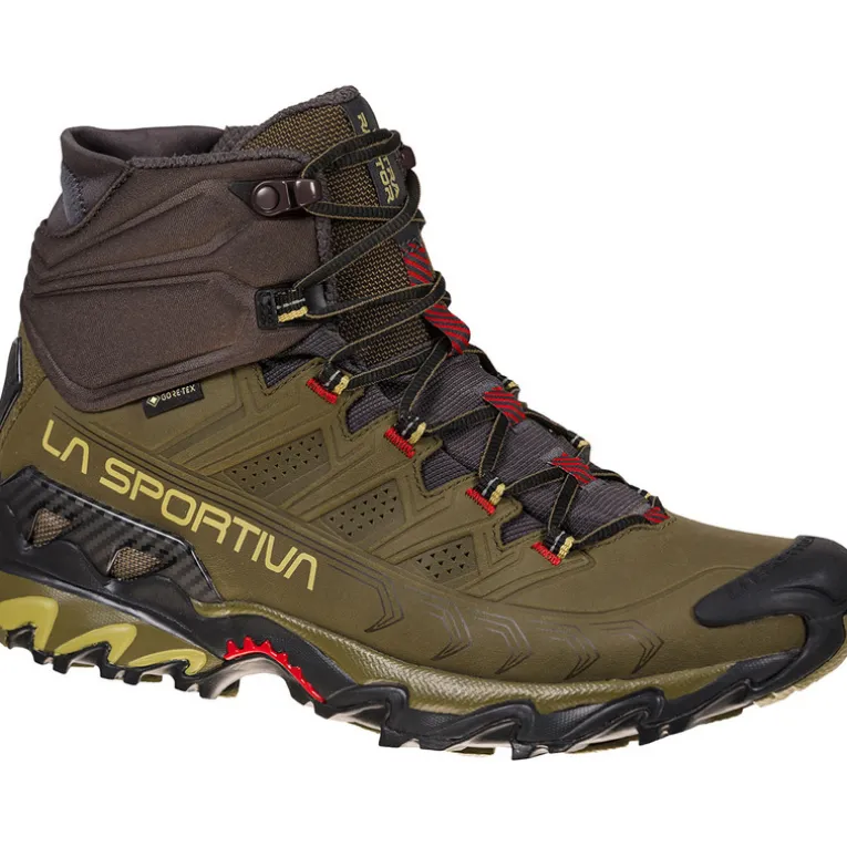 Herren Ultra Raptor II Mid Leather GTX Schuhe