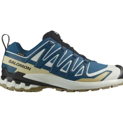 Herren Xa Pro 3D V9 GTX Schuhe